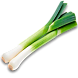 Лук порей