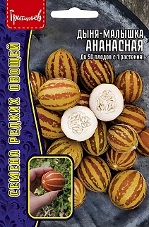 Дыня-малышка Ананасная, 5 шт.