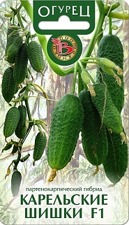 Огурец Карельские Шишки F1, 8 шт. Биотехника