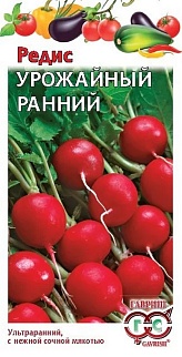 Редис Урожайный ранний, 3 г. Гавриш.