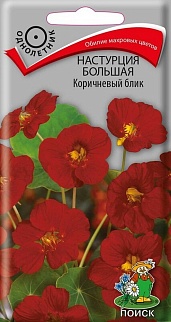 Настурция большая Коричневый блик, 1 г
