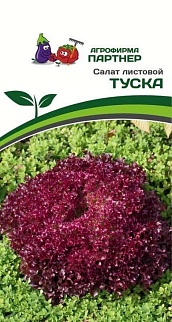 Салат листовой Туска, 15 шт. Агрофирма Партнер.