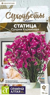 Статица Суприм Карминная 0,1 г Сухоцветы