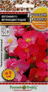 Бегония вечноцветущая F1, смесь, 5 шт. Русский размер Русский огород