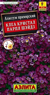 Алиссум Клеа кристал парпл шэйдз, 4 шт.