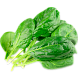 Шпинат