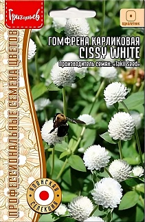 Гомфрена Cissy White, карликовая, 4 шт.