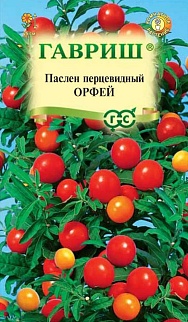 Паслён декоративный Орфей, 12 шт. 