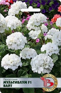Пеларгония Мультиблум F1 Вайт, 5 шт. Биотехника