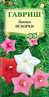 Ипомея перистая Искорки, 0,5 г