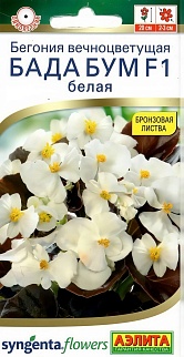 Бегония Бада бум F1 белая, 5 шт.