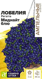 Лобелия Регатта Миднайт Блю ампельная, 5 шт. Ампельные Шедевры. 