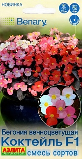Бегония вечноцветущая Коктейль F1, смесь сортов, 7 шт.