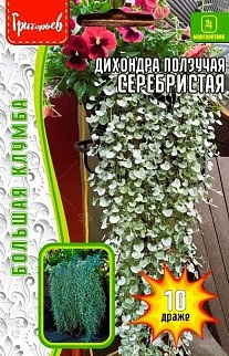 Дихондра Серебристая ползучая, 10 шт.