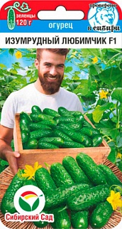 Огурец Изумрудный любимчик F1 7шт. Сибирский сад