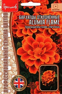 Бархатцы Alumia Flame, отклонённые, 5 шт.