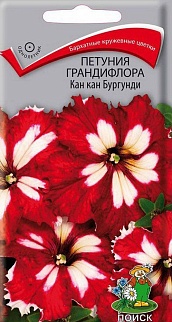 Петуния грандифлора Кан кан бургунди, 10 шт.