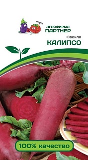 Свекла Калипсо, 3 г. Агрофирма Партнер.