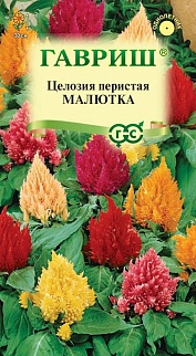 Целозия перистая Малютка, смесь, 0,01 г