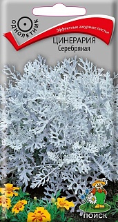 Цинерария Серебряная, 0,2 г