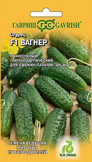 Огурец Вагнер F1, 5 шт. Голландия.