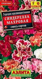 Годеция Синдерелла крупноцветковая махровая, смесь сортов, 0,05 г