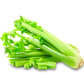 Сельдерей