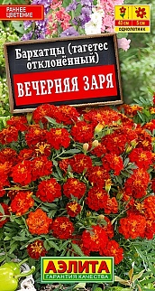 Бархатцы Вечерняя Заря, отклоненные, 0,3 г