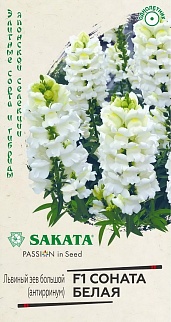 Антирринум Соната, белая F1, 10 шт.