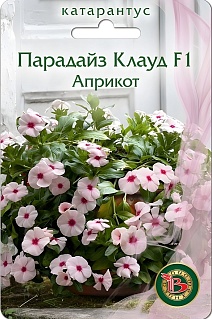 Катарантус Парадайс Клаут F1 Априкот, 5 шт.