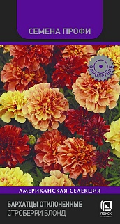 Бархатцы Отклоненные Строберри блонд, 10 шт. Семена профи
