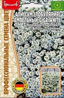 Алиссум Giga White 5 мультидраже