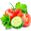 Овощные культуры