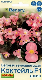 Бегония вечноцветущая Коктейль F1 джин, 7 шт.