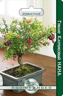 Гранат карликовый Нана, комнатное, 5 шт. Биотехника Биотехника