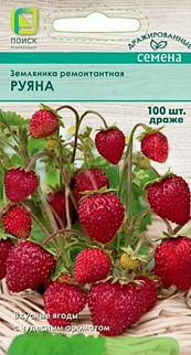 Земляника Руяна, ремонтантная, 100 шт.