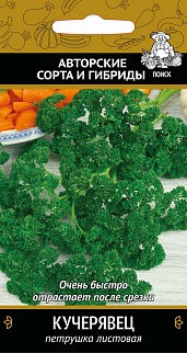 Петрушка Кучерявец, 3 г