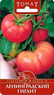 Томат Ленинградский Гигант, 25 шт. Биотехника