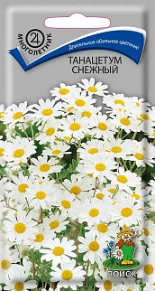 Танацетум Снежный, 0,05 г