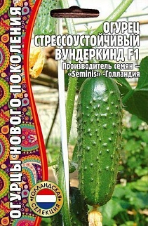 Огурец Стрессоустойчивый Вундеркинг, 5+1 шт. Голландия.