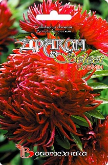 Астра китайская Дракон селект Рубин, 100 шт. Биотехника
