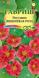 Настурция Вишневая роза, 1 г