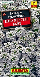 Алиссум Клеа кристал вайт, 4 шт.  