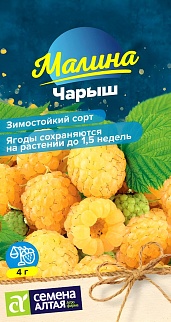 Малина Чарыш, желтая, 0,3 г