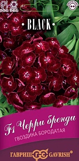 Гвоздика турецкая Черри бренди F1, 4 шт. Black.