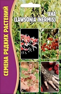 Хна (Lawsonia inermis, лавсония безкостная), 10 шт. 