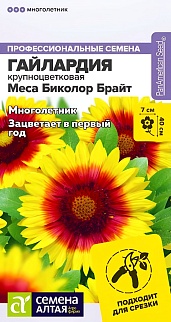 Гайлардия Меса Биколор Брайт, 3 шт. Профессиональные семена.