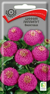 Цинния Лиллипут Фиолетовая, 0,4 г