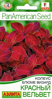 Колеус блюме Красный вельвет, 5 шт. 