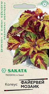 Колеус Файервей Мозаик, 5 шт. Саката.